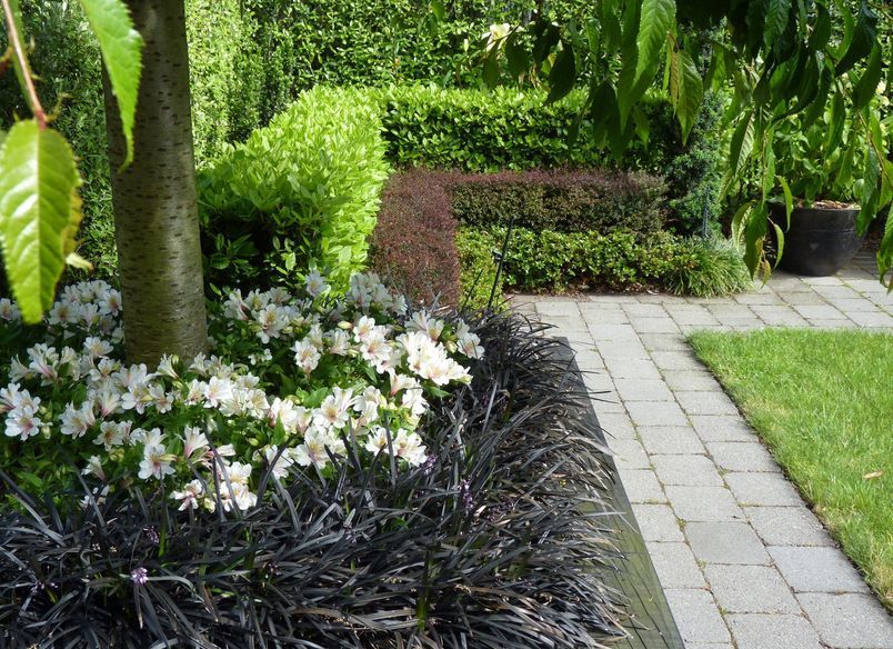 Highwic: formal apartment garden