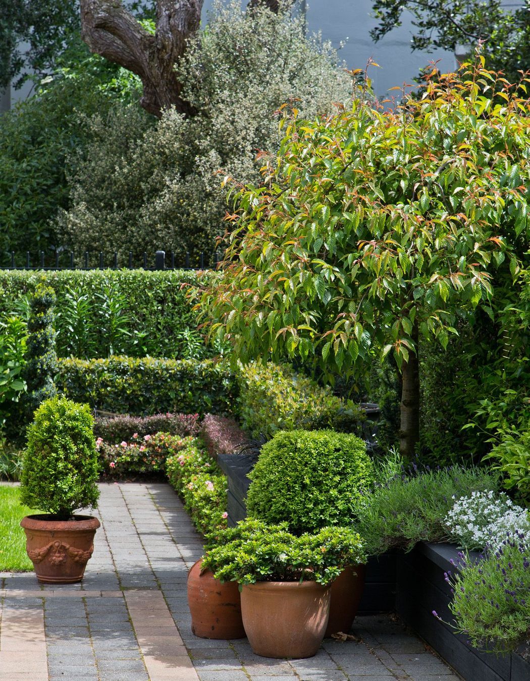 Topiary and layered hedges