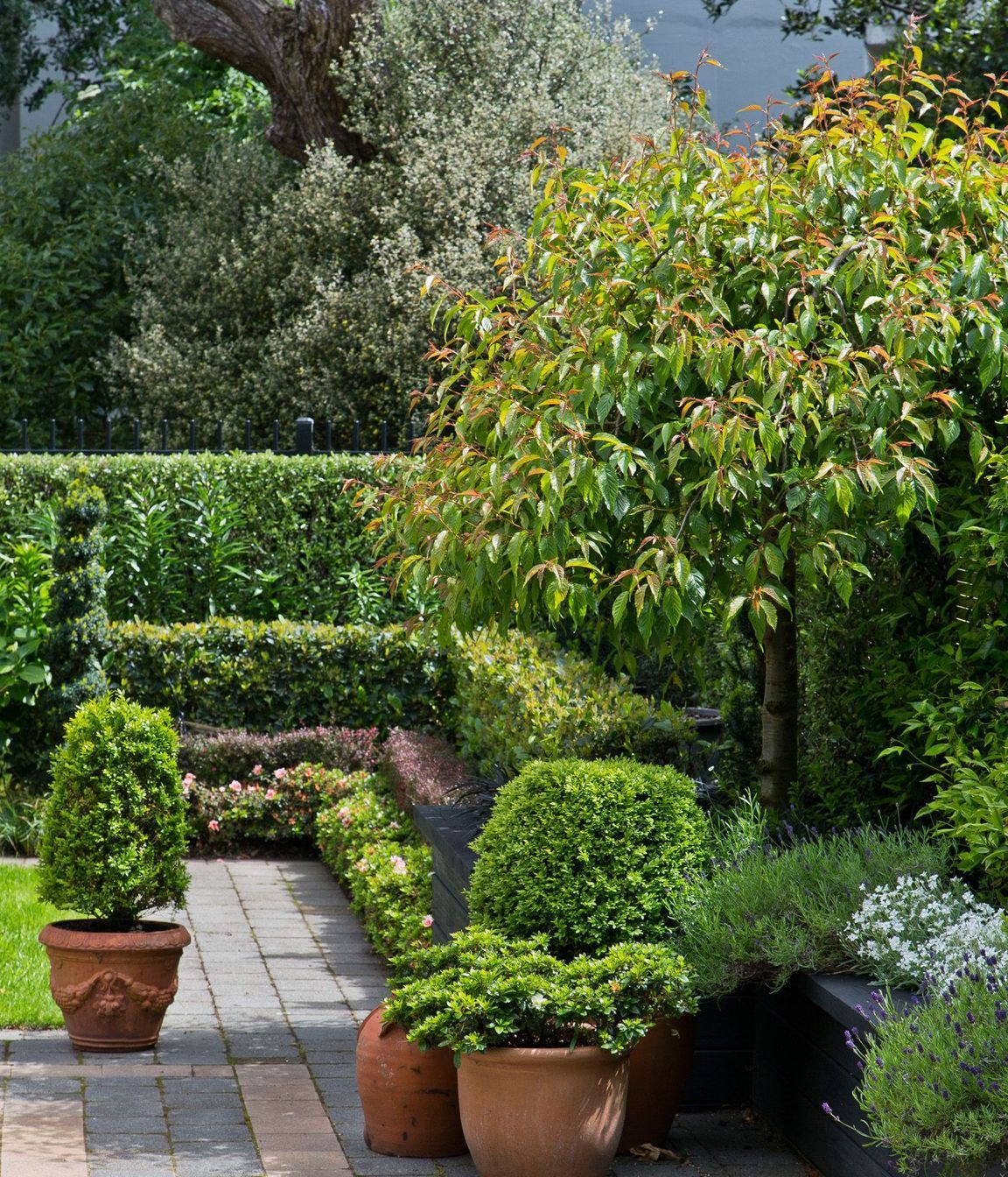 Topiary and layered hedges