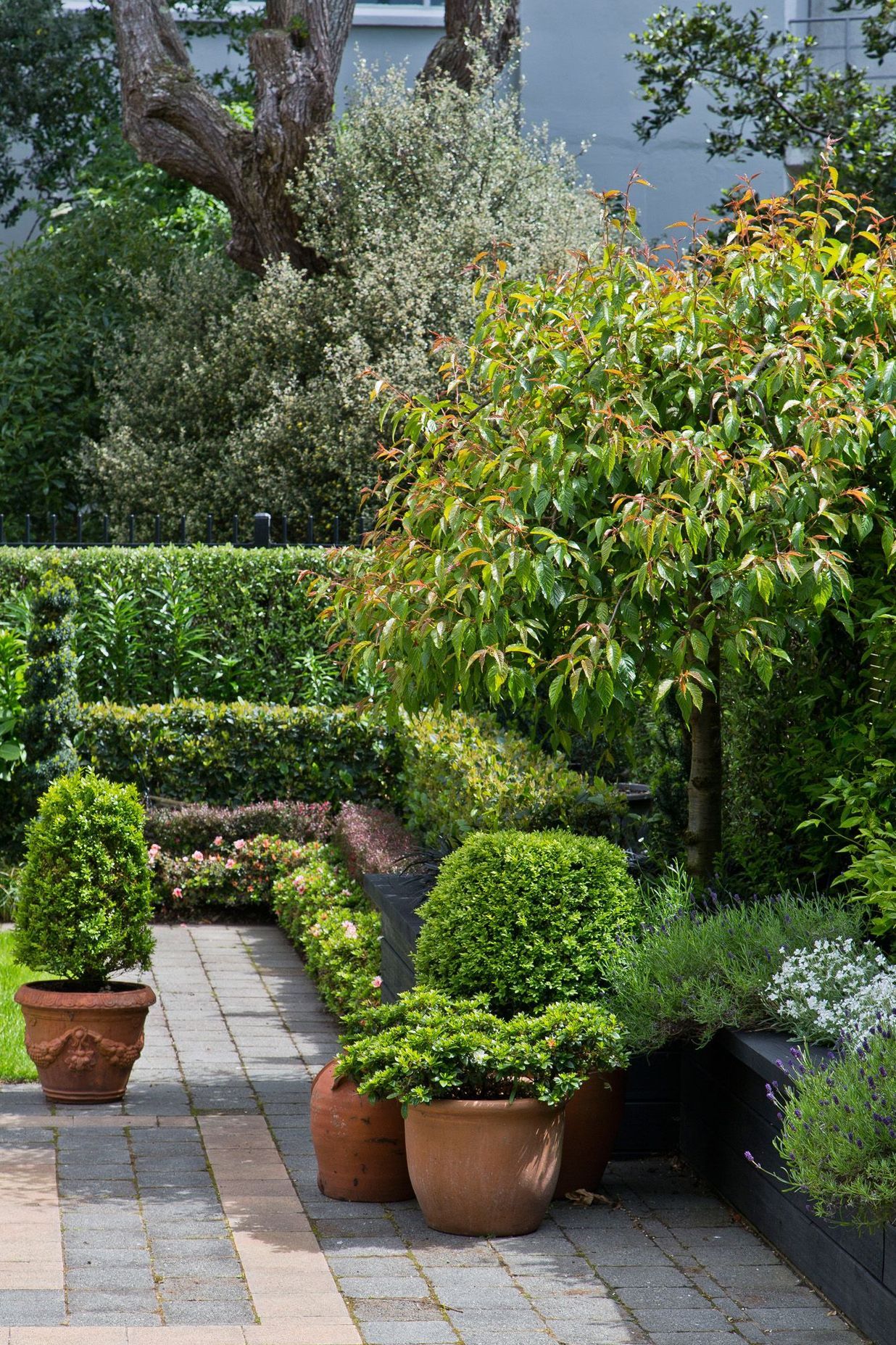 Topiary and layered hedges