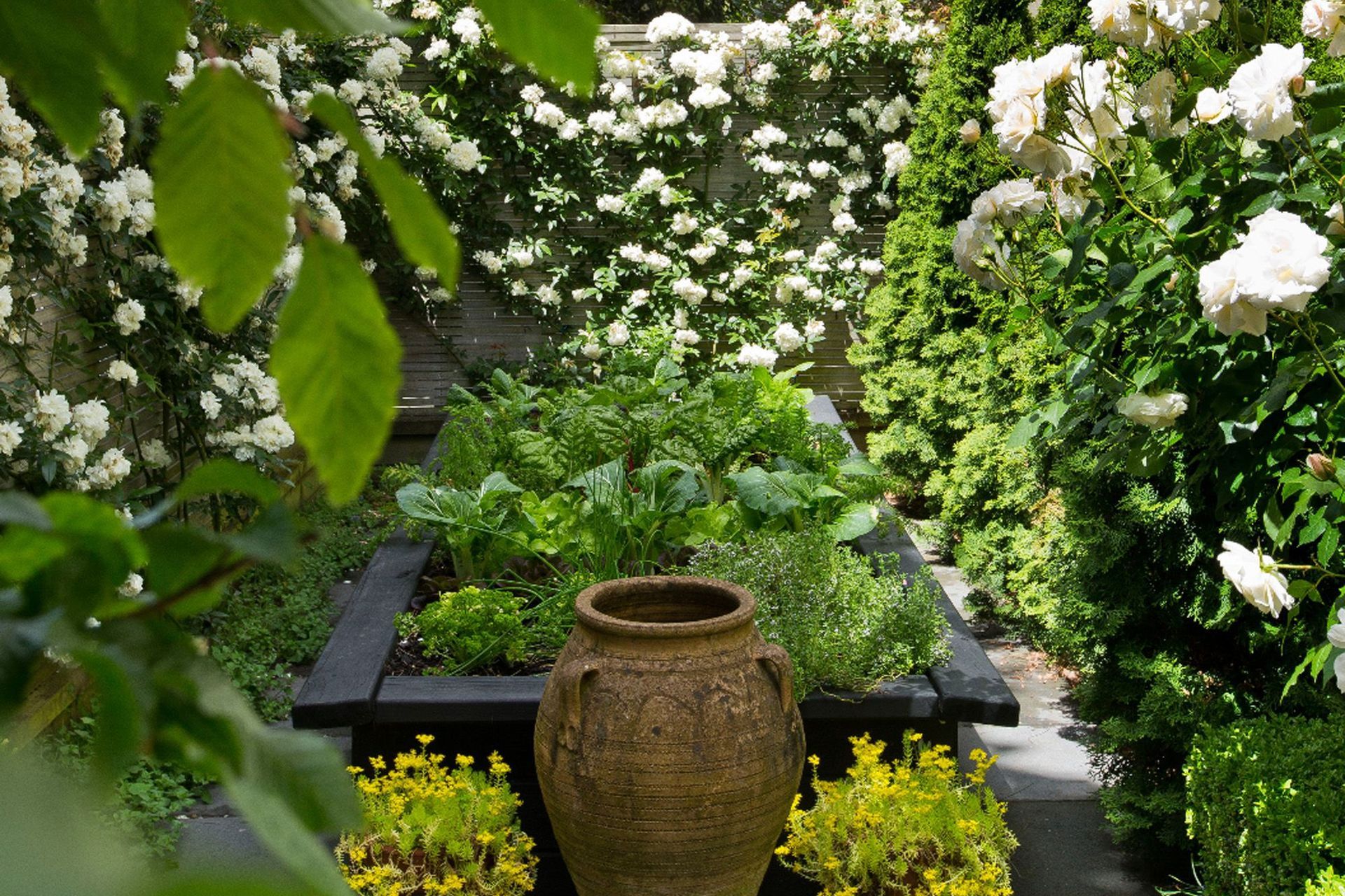 Beautiful raised vegetable garden potager
