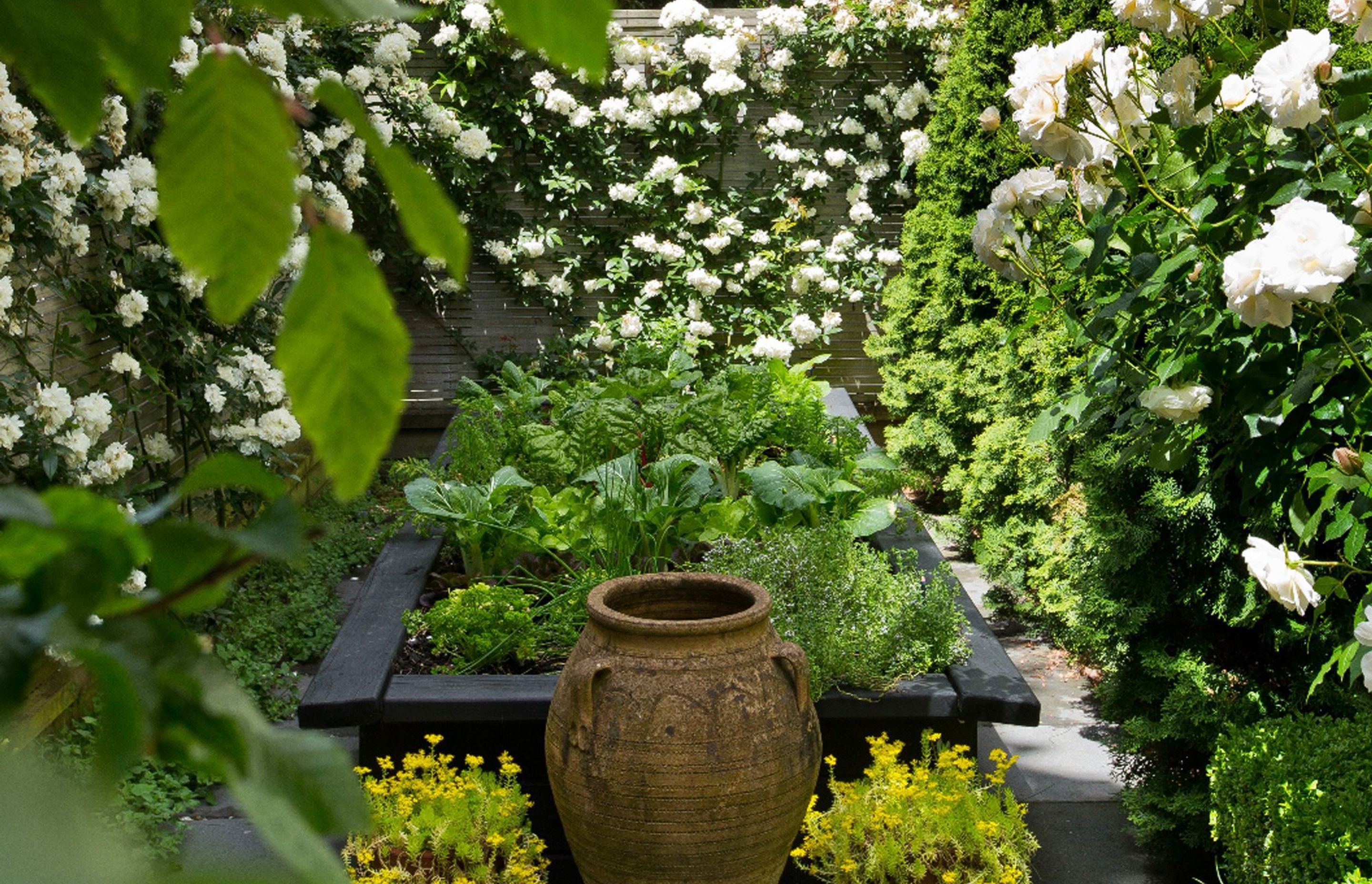 Beautiful raised vegetable garden potager