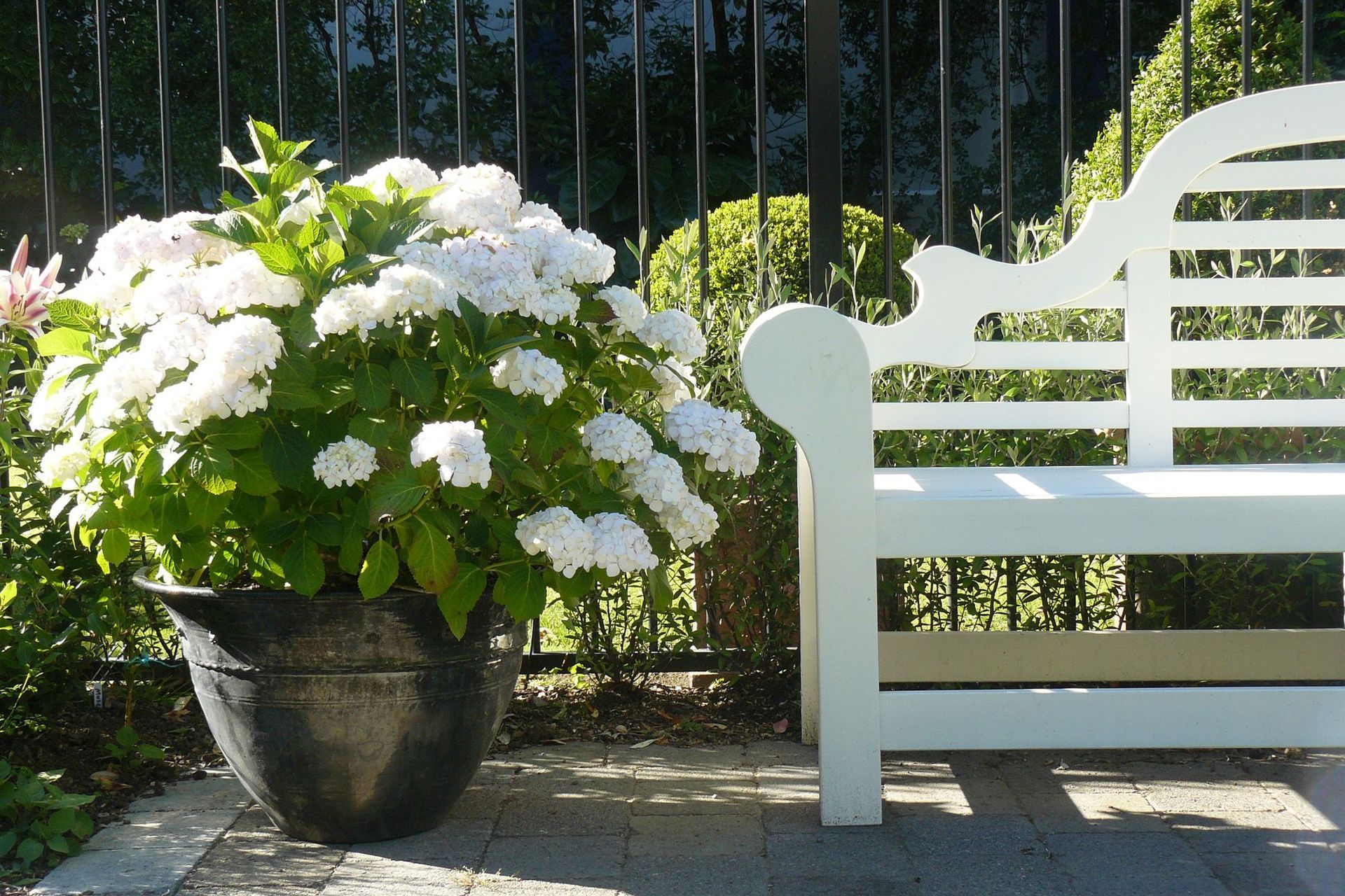 Lutyens Bench paired with white Hydrangea Bridal Bouquet