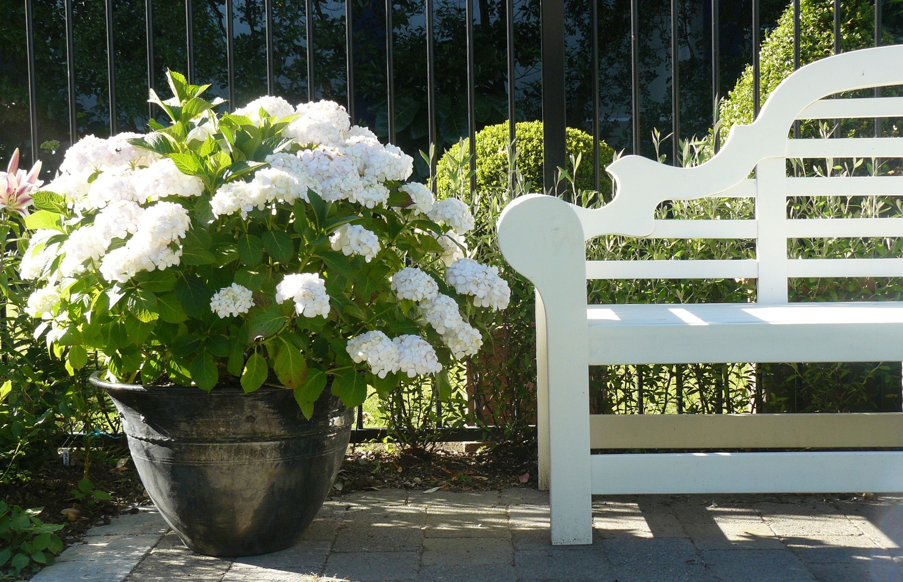 Lutyens Bench paired with white Hydrangea Bridal Bouquet