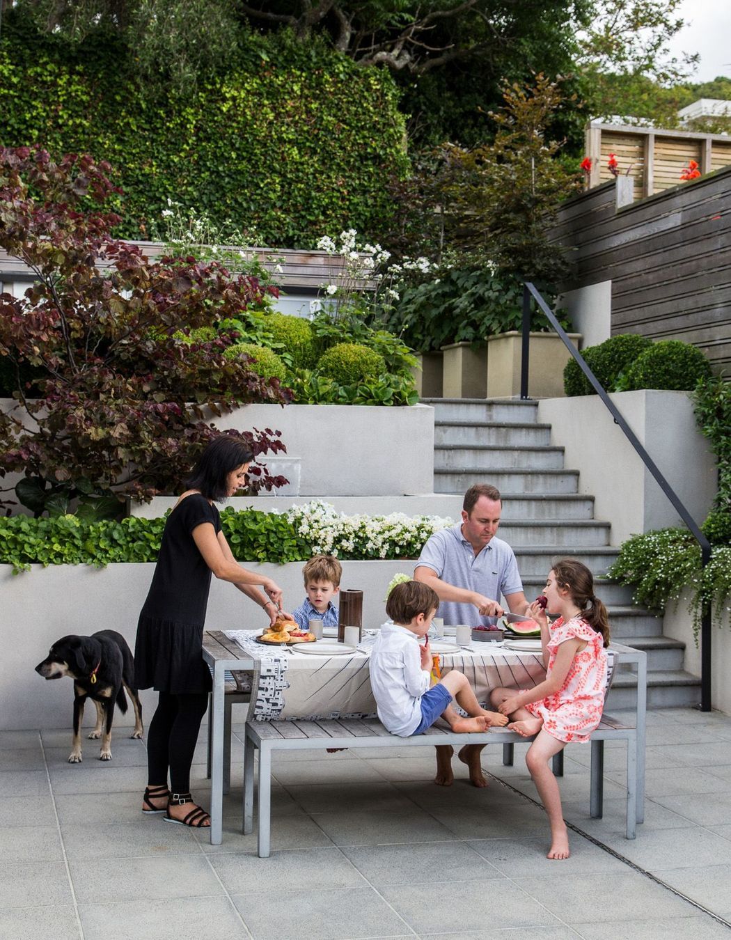 Lunch &amp; BBQs in the garden
