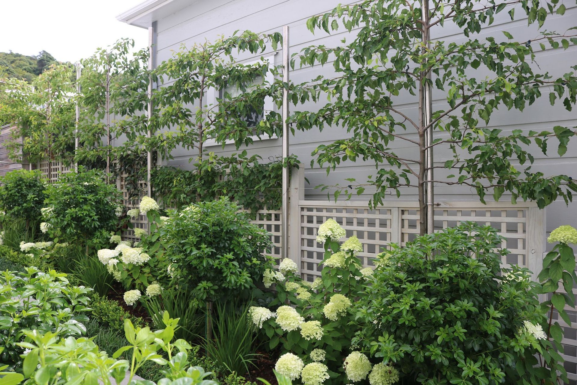 Formal structure with white flowers