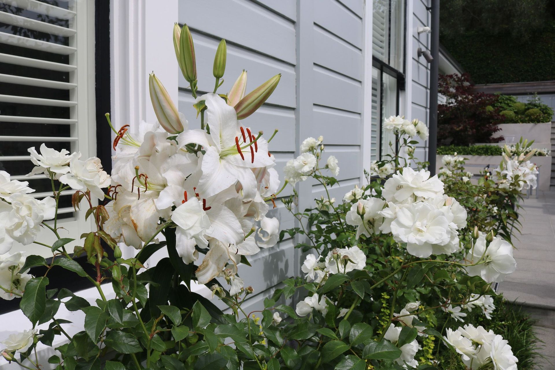 Side garden enjoyed from inside