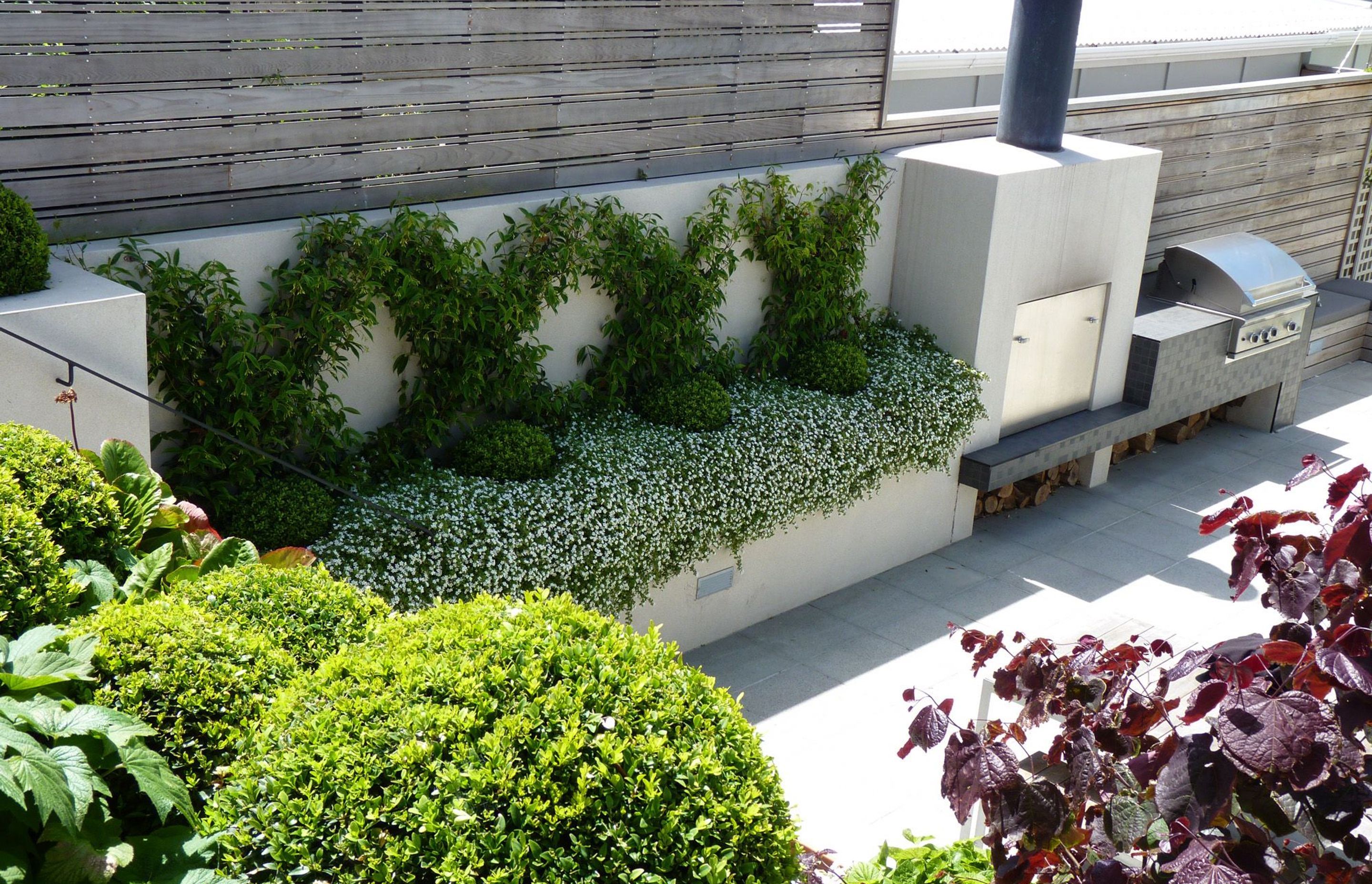 Outdoor BBQ, fire place &amp; feature planting espaliered Chinese Star Jasmines. Architecture &amp; associated landscape architecture by Tse : Wallace Architects.