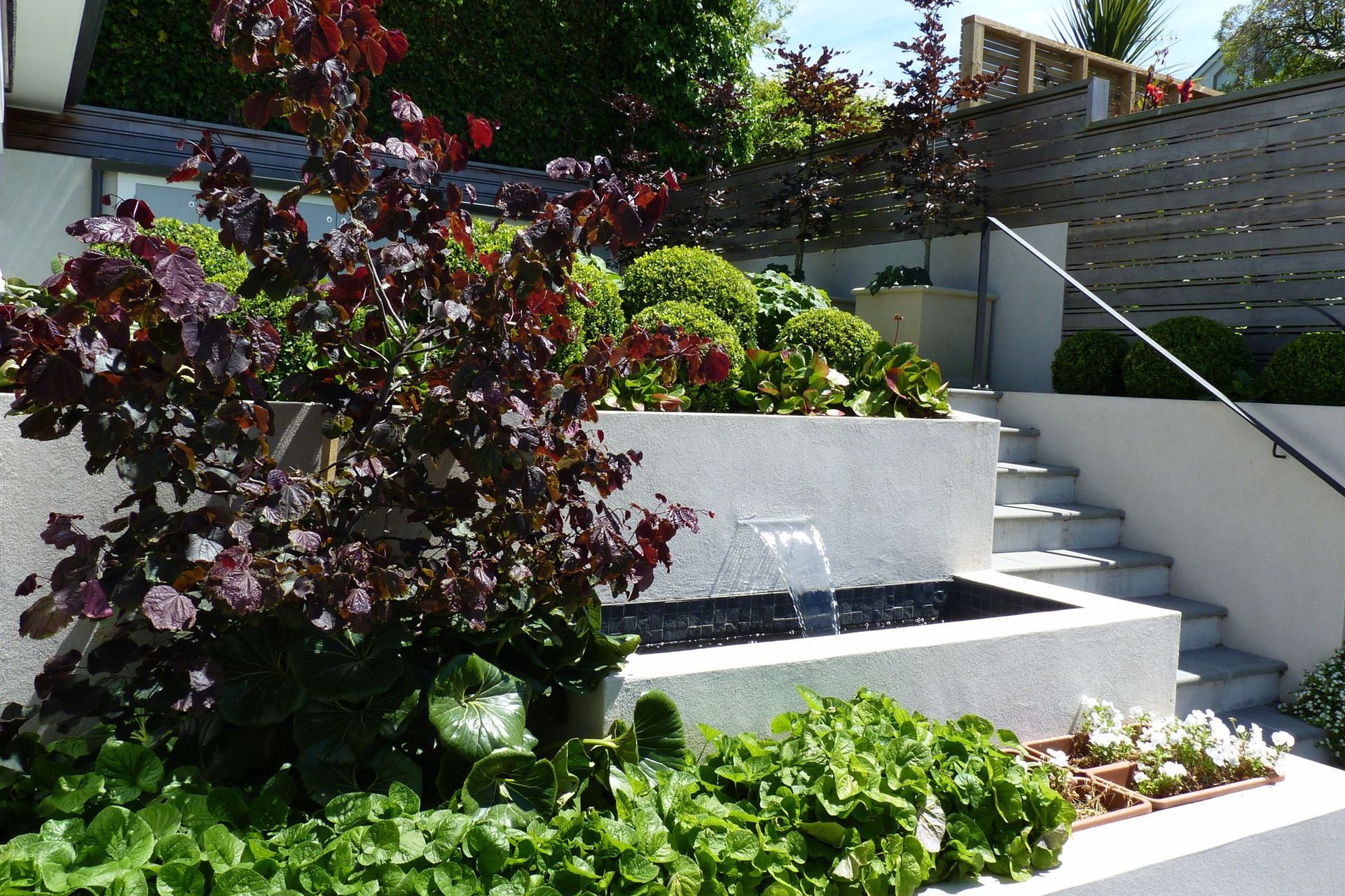 Seasonal &amp; structural planting for small gardens