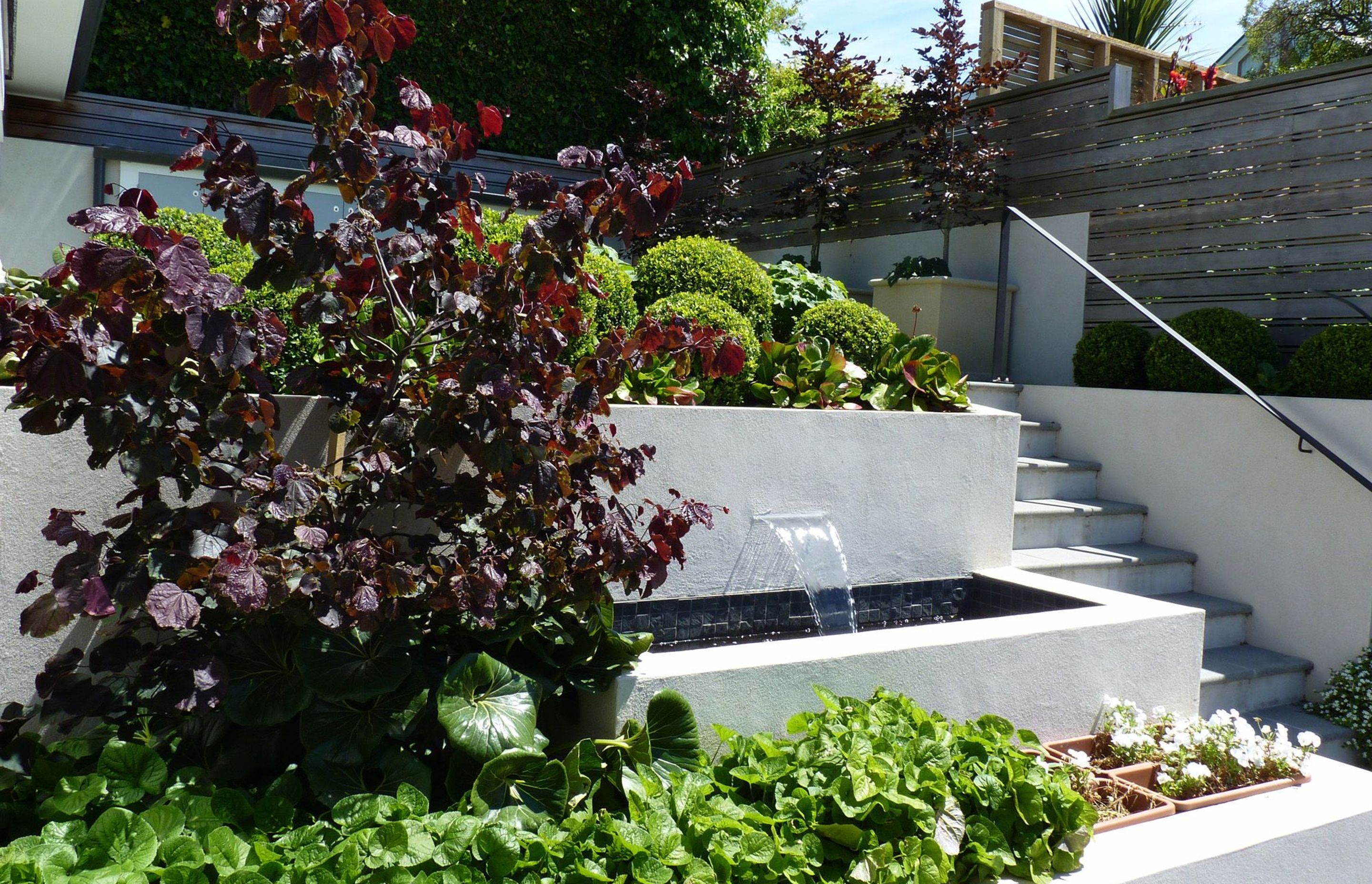 Seasonal & structural planting for small gardens