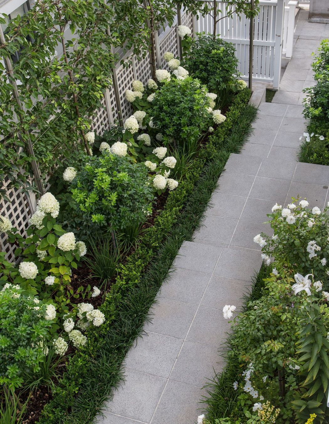 A view from above looking down on side garden