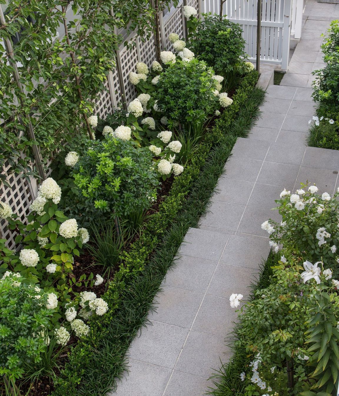 A view from above looking down on side garden