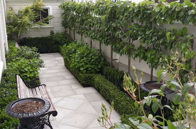 Hedge Garden Design & Nursery