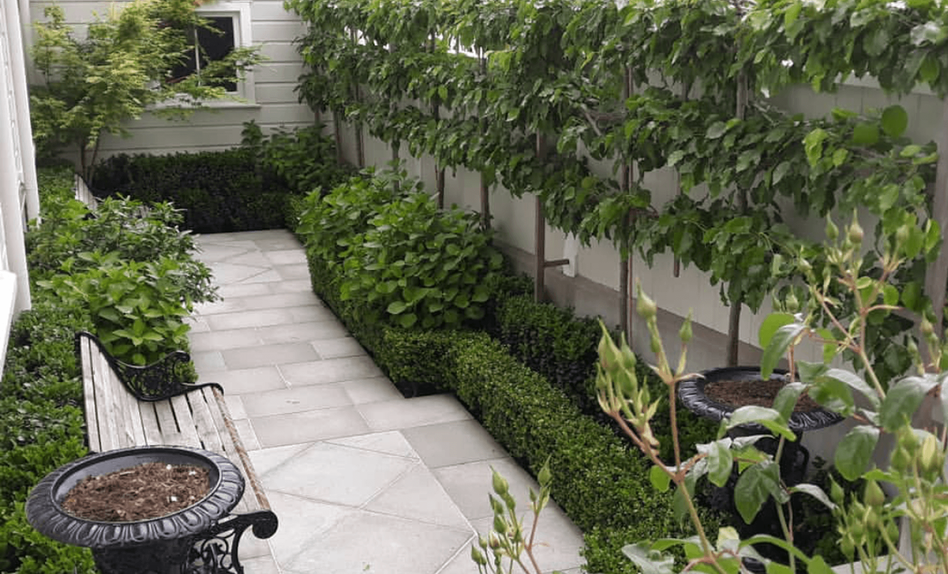 Hobson: an architect's garden