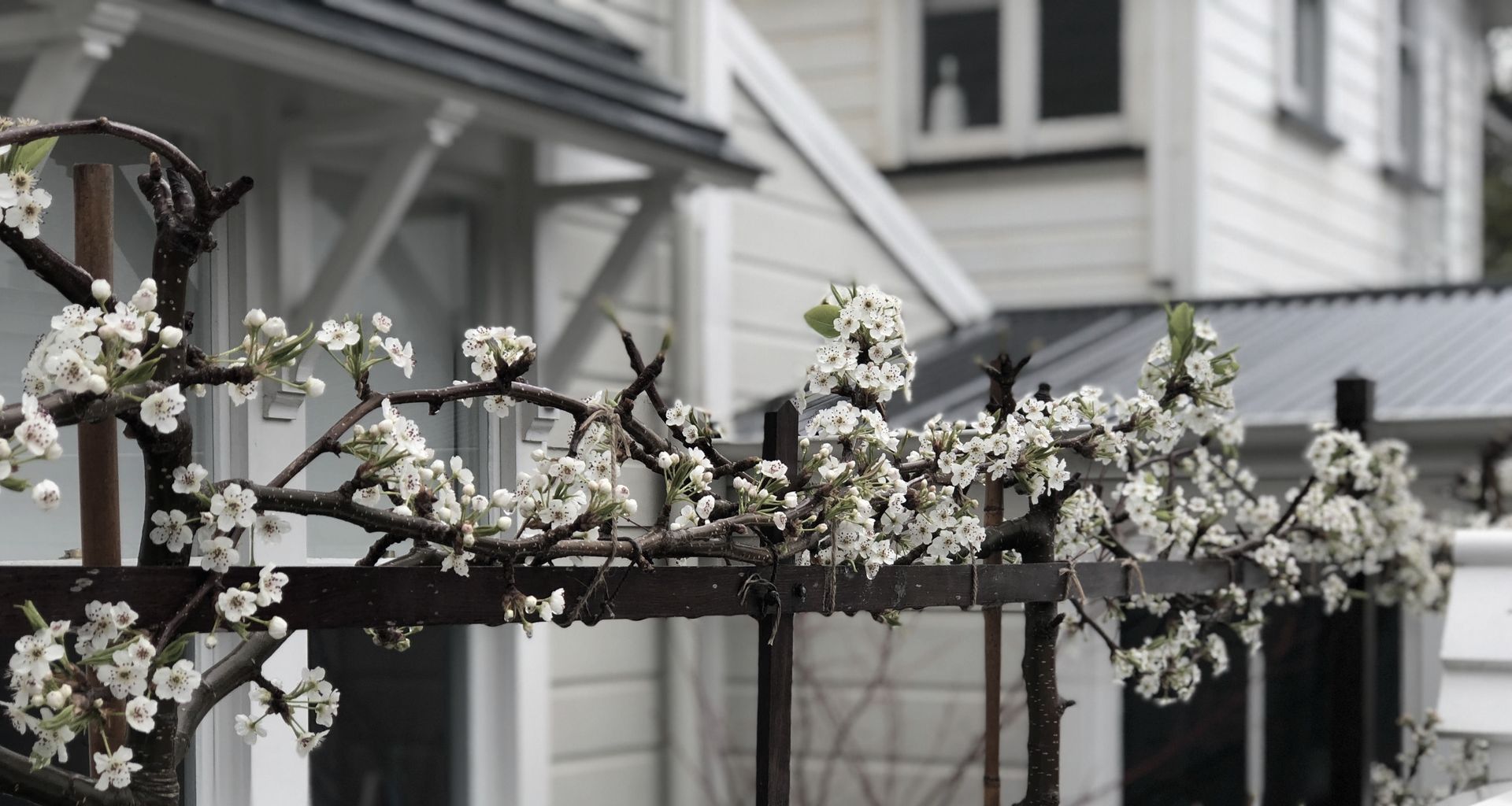Hobson: an architect's garden banner