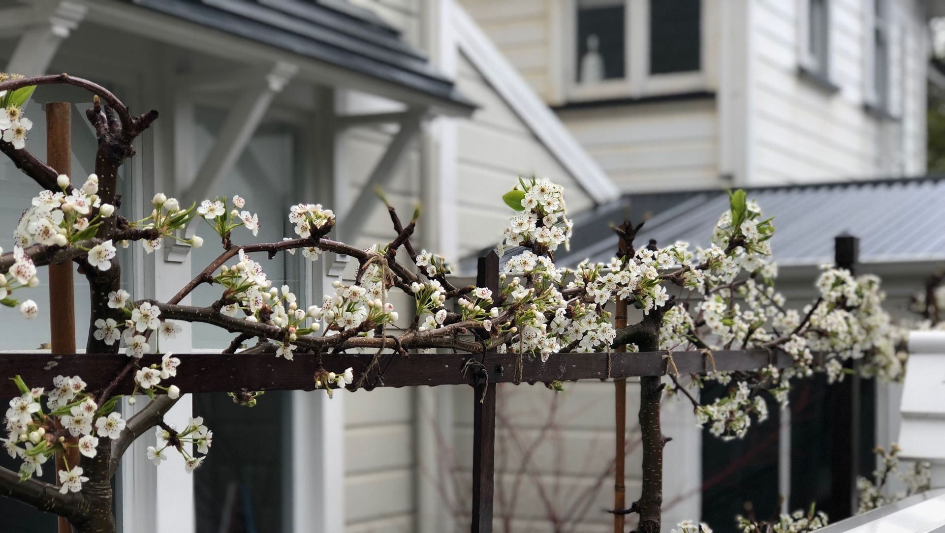 Hobson: an architect's garden banner