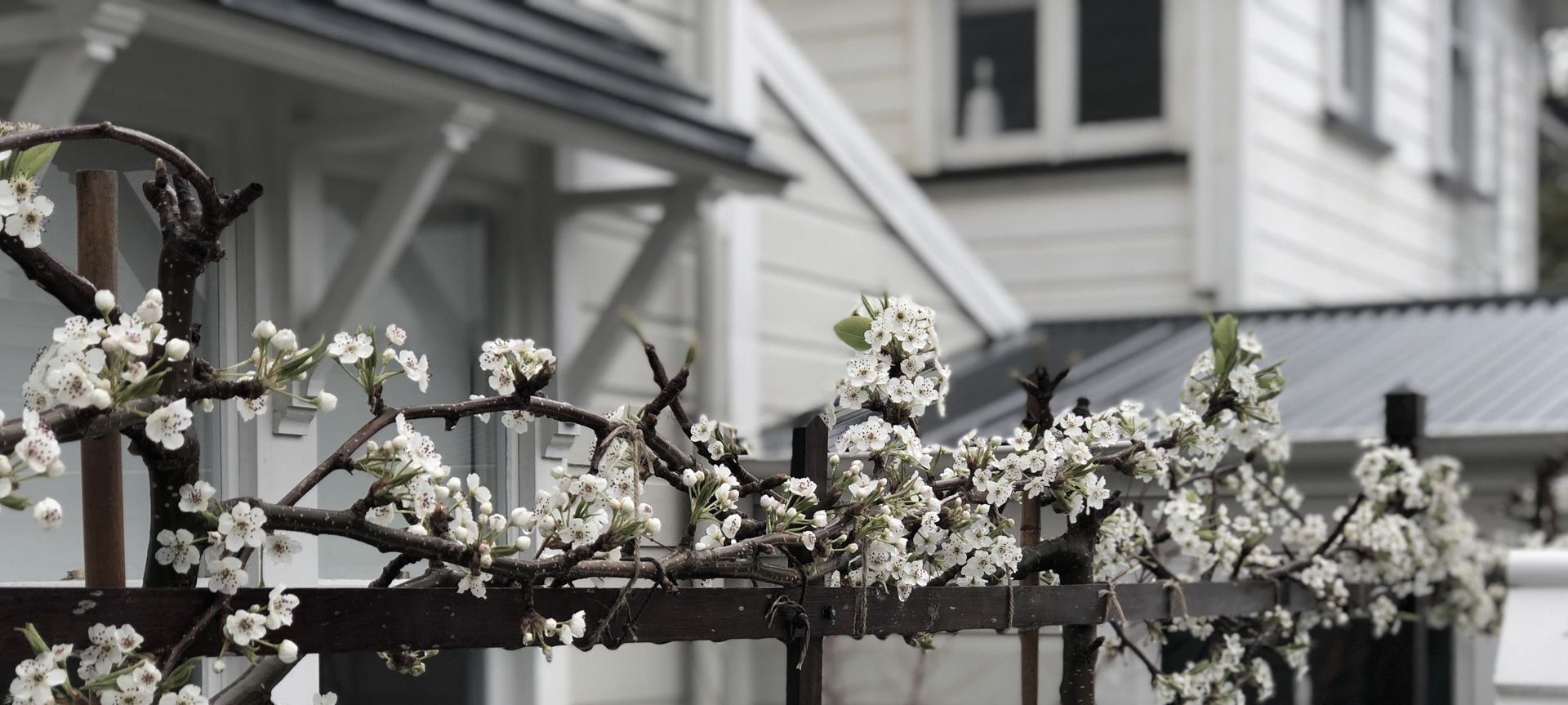 Hobson: an architect's garden banner