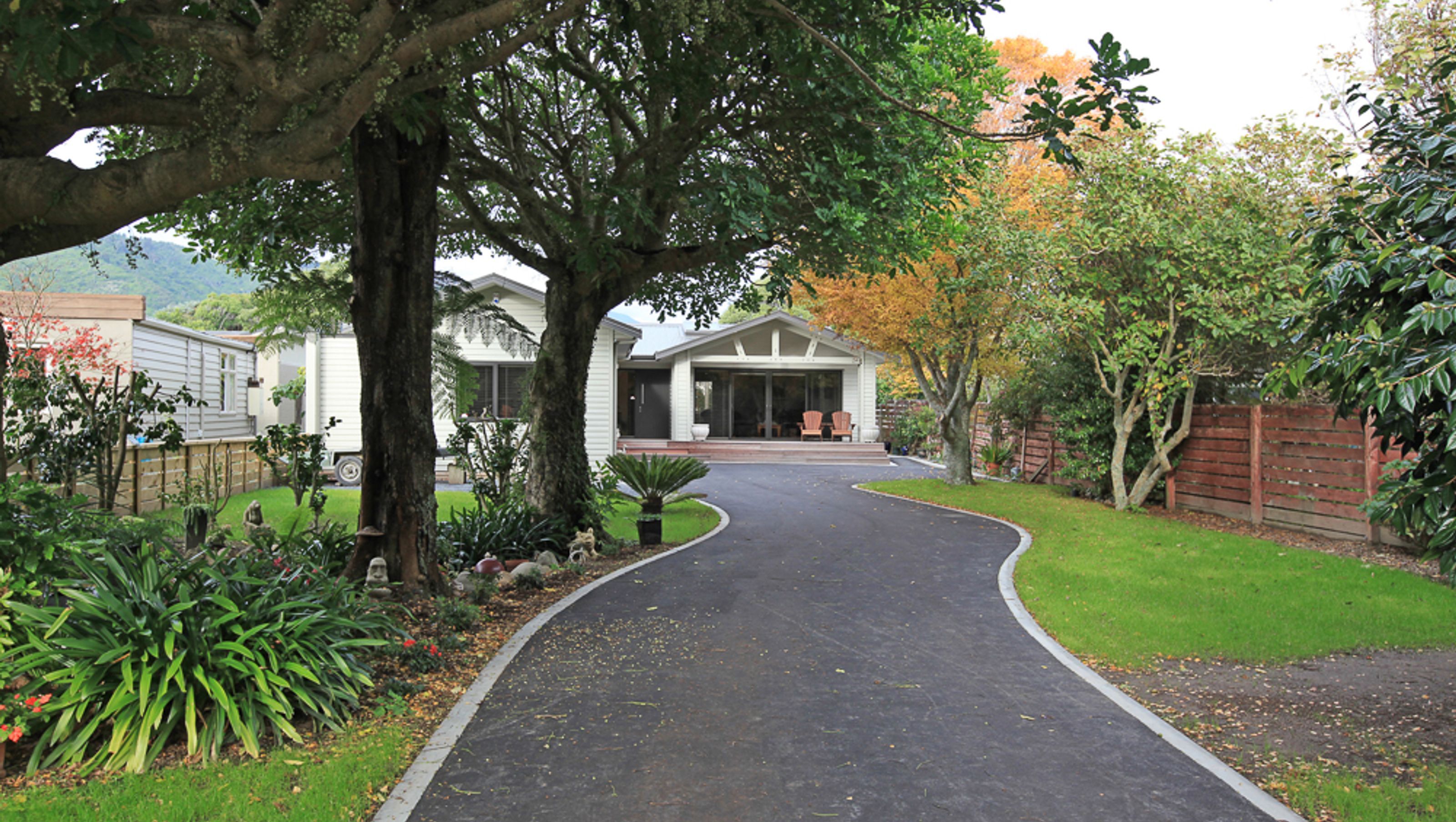 Horopito Road