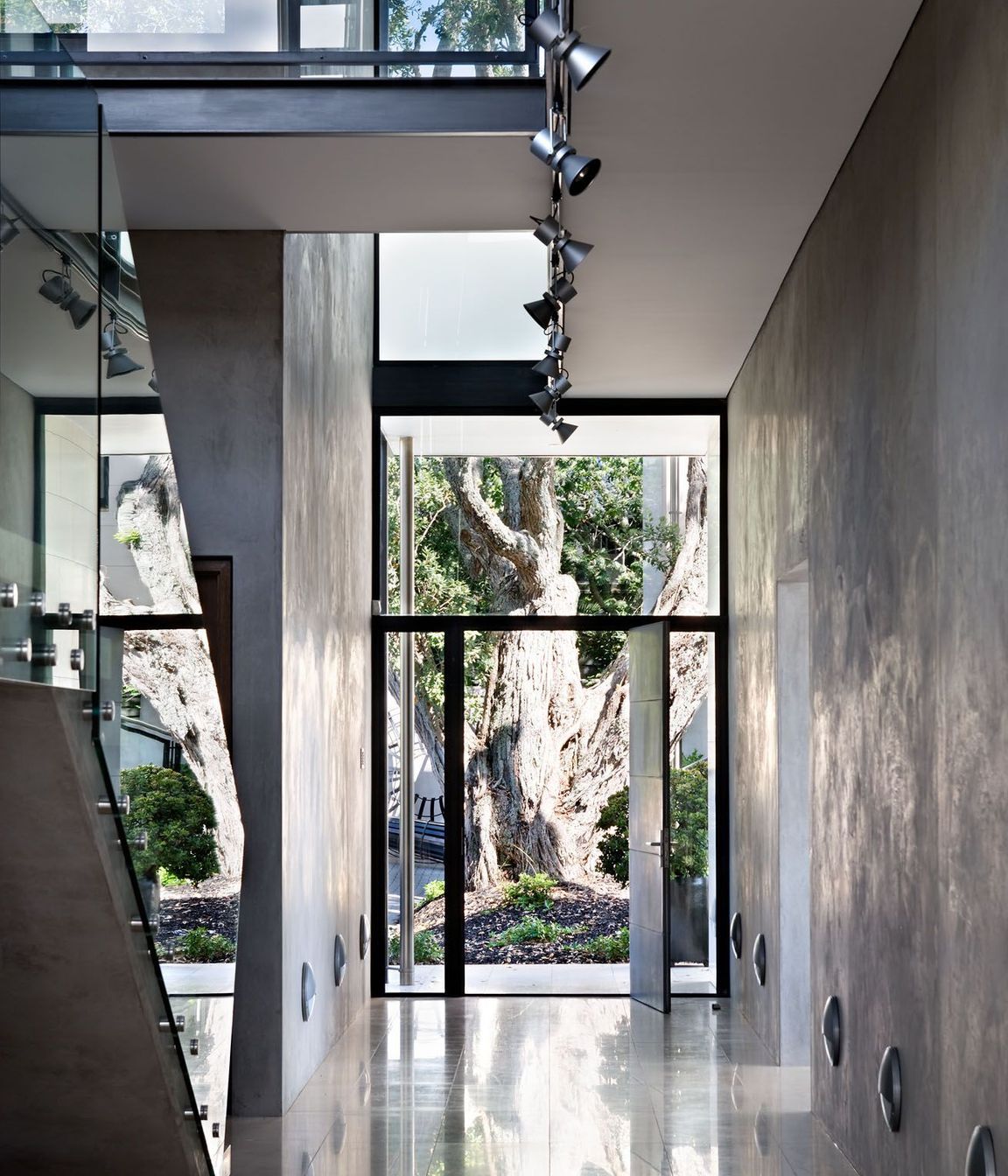 Entry and Grand Hall towards Pohutakawa Tree