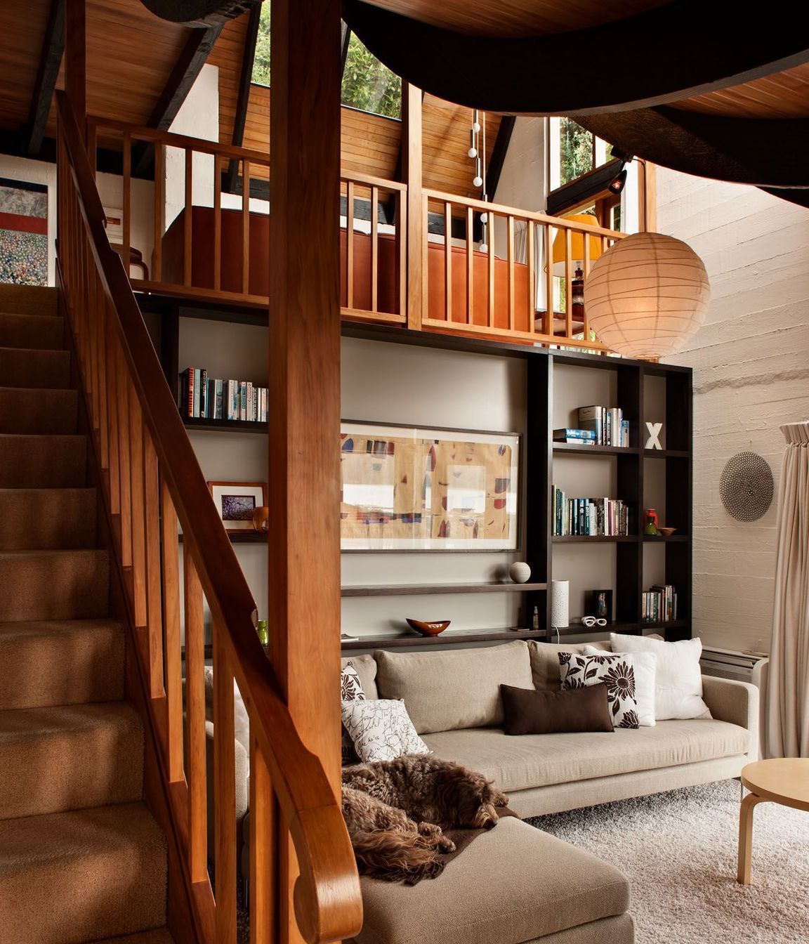 interior living spaces + dog
