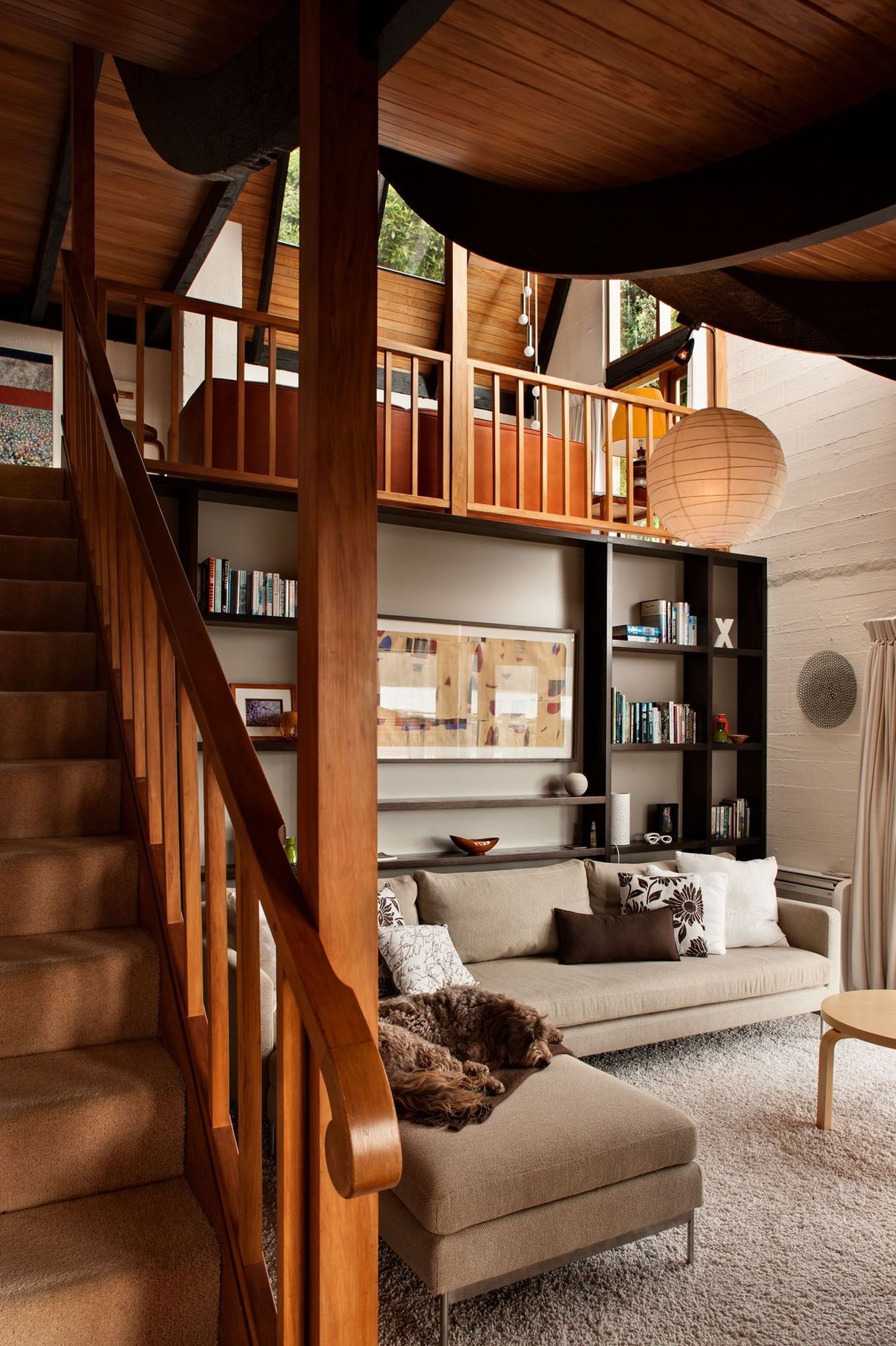 interior living spaces + dog
