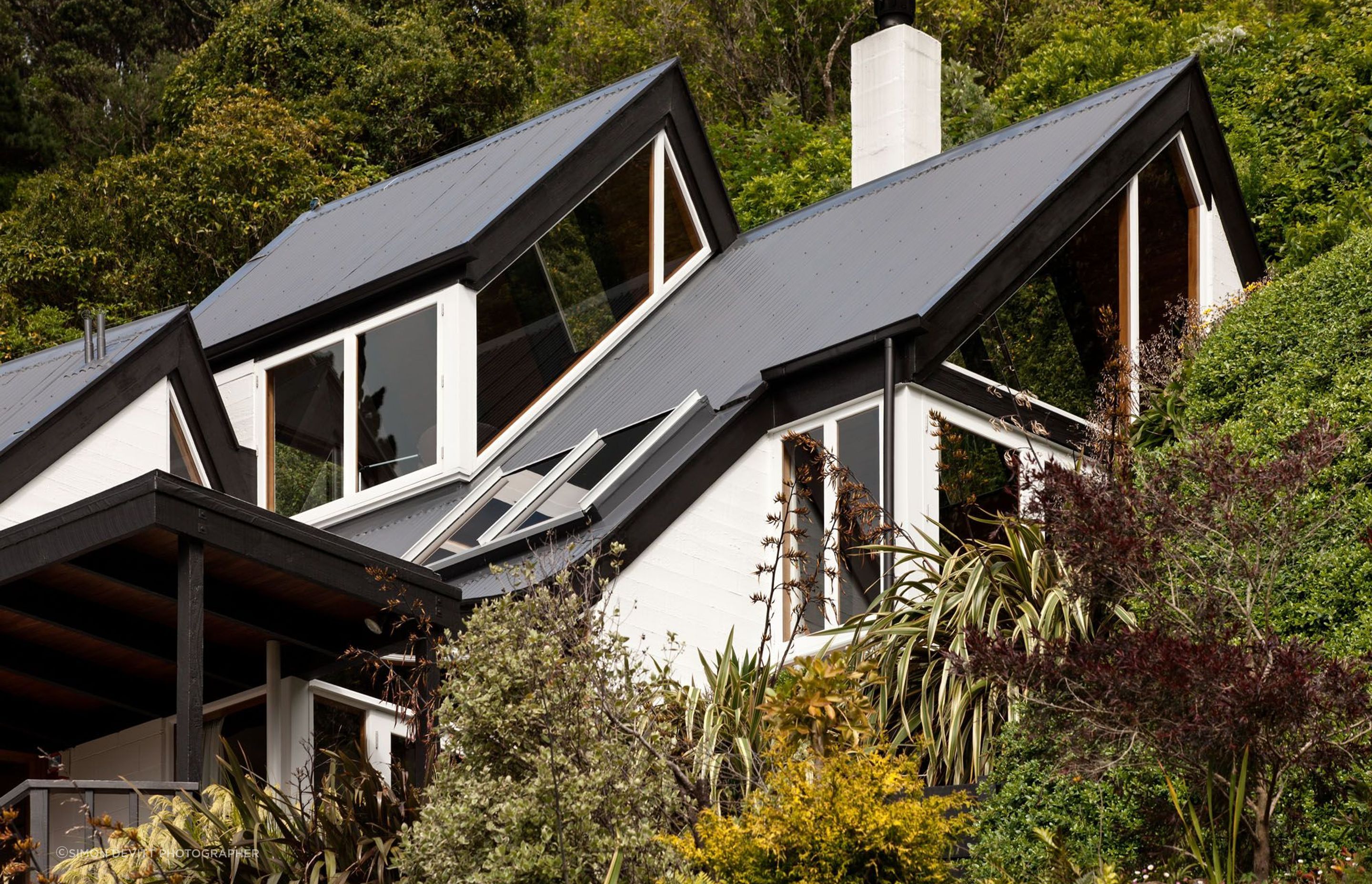 house nestled into the bush