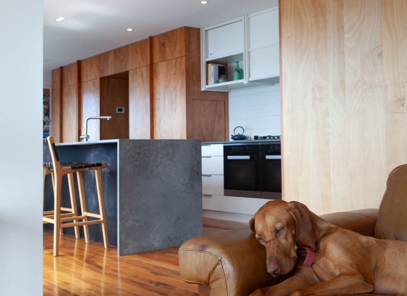 Lyall Bay Family Alteration