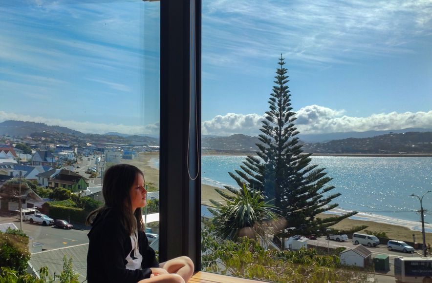 Lyall Bay Family Alteration