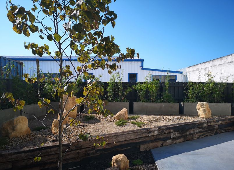 Dnature Project