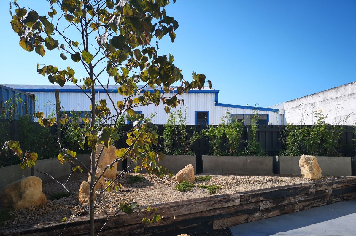 Dnature Project