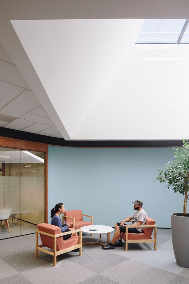 A bright contemporary office lounge or waiting area with two people seated in coral upholstered timber-framed armchairs around a small white round table. The space features a pale blue painted feature wall, grey carpet tiles, extensive glazed timber-framed partitions, a black ceiling band, a large white angled ceiling plane, and a skylight. A tall indoor tree in a cylindrical planter adds greenery.