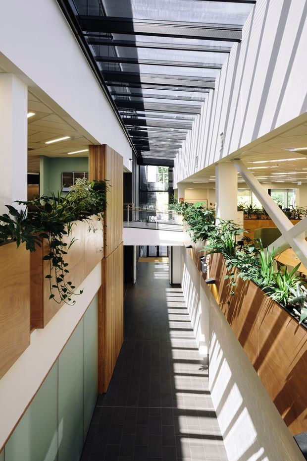 A bright contemporary commercial interior atrium or multi-level office corridor with a long glazed roof, strong natural light, indoor planting, timber-lined built-in planters, white structural surfaces, and a dark tiled circulation floor. The view looks along an open internal walkway with balconies, stairs or level changes, and extensive clerestory glazing creating dramatic linear shadows.