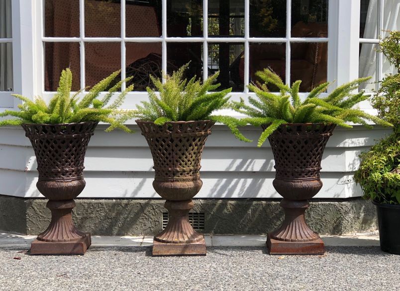 Izard: the designer's current garden