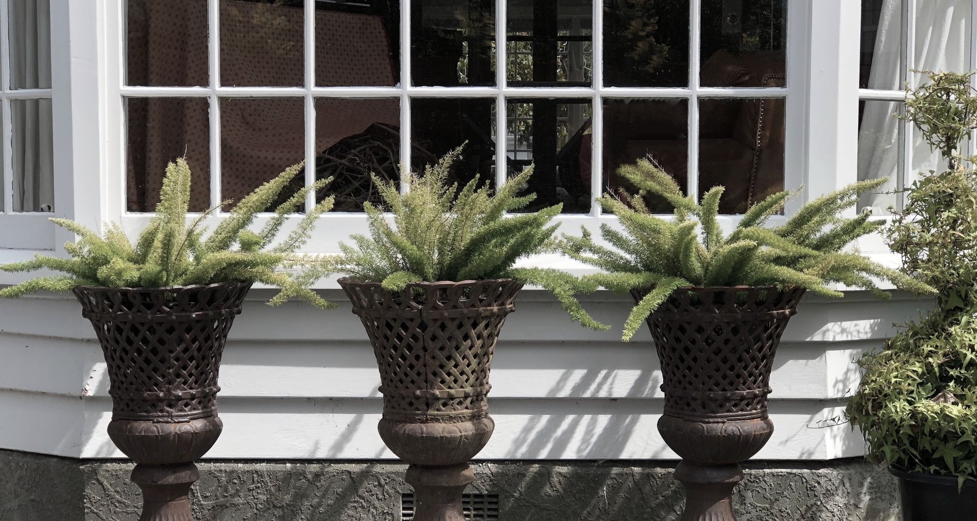 Izard: the designer's current garden banner