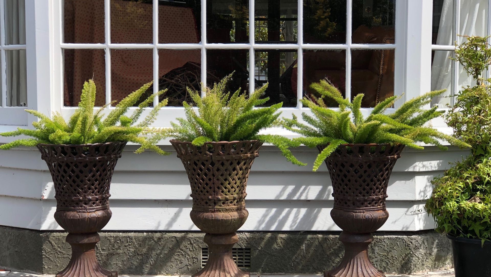 Izard: the designer's current garden banner