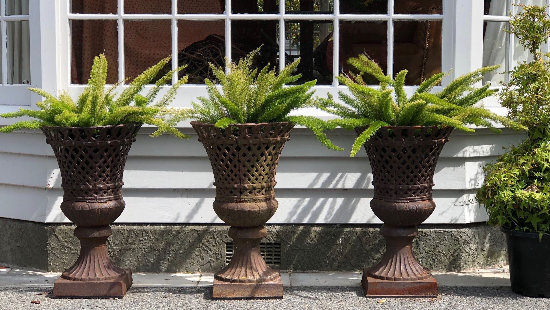 Izard: the designer's current garden banner