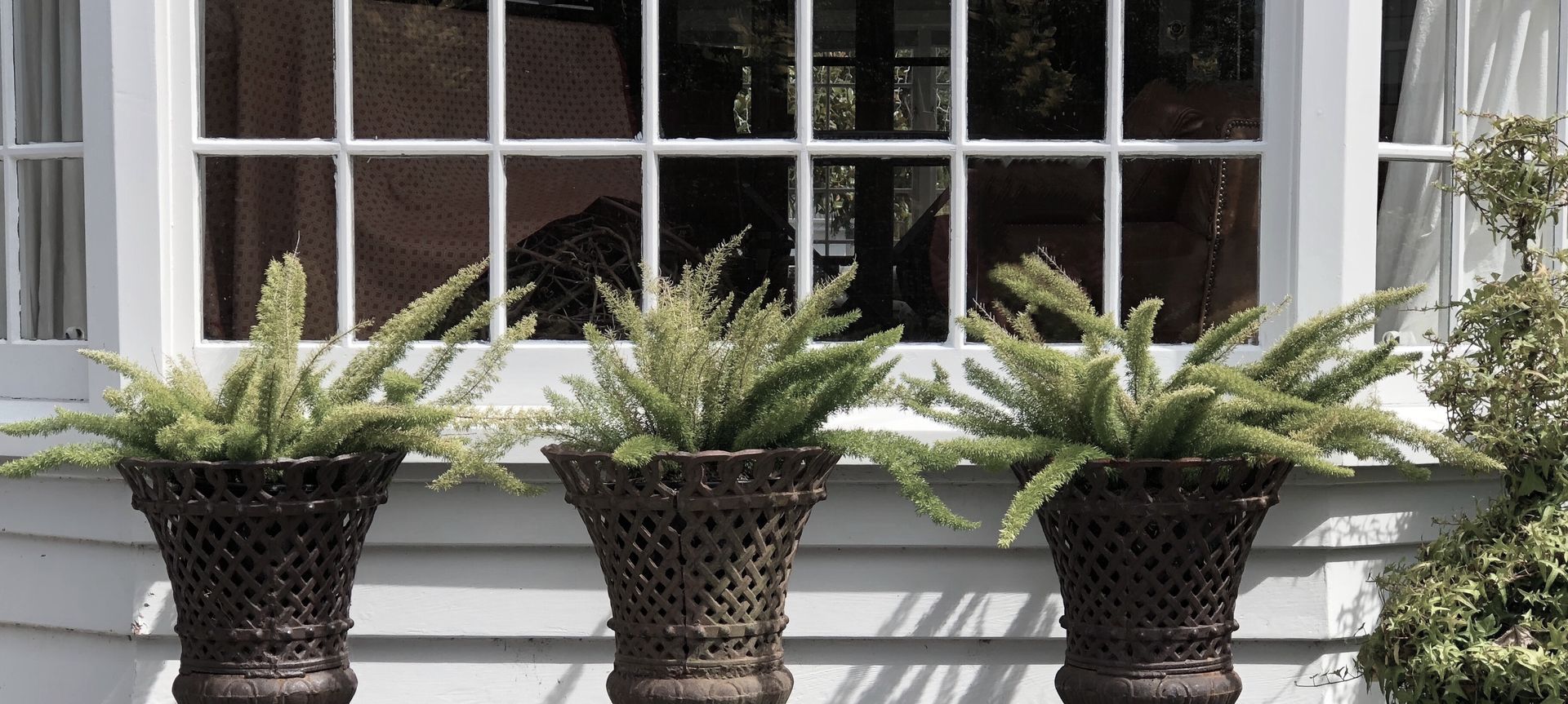 Izard: the designer's current garden banner