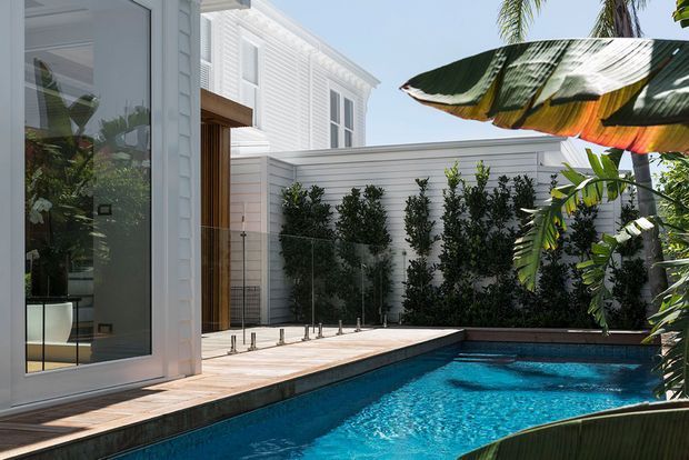 A bright tropical courtyard pool beside a white weatherboard-style building, with large glazed doors, a timber pool deck, privacy planting, and a glass pool safety fence. The compact rectangular pool is the dominant feature, framed by lush banana leaves and white architectural elements.