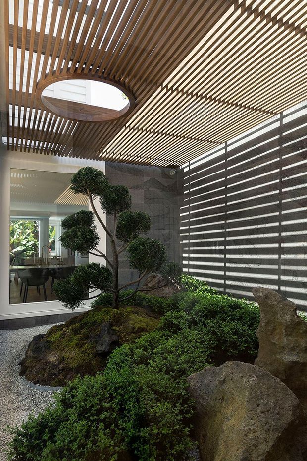 A tranquil indoor courtyard garden with a sculpted Japanese-style tree, moss-covered planting mounds, gravel, and large natural rocks. Above, a dramatic timber slatted canopy creates patterned filtered light and includes a circular opening. A dark slatted screen wall and pale rendered surfaces frame the garden, with a dining area visible through glazing at the rear.