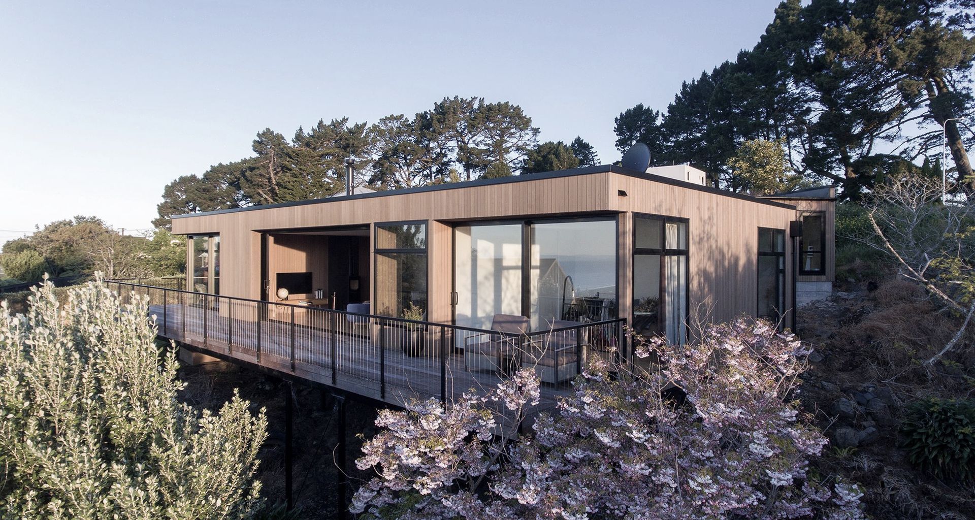 Jack Home: An Uncomplicated Timber-clad Pavilion banner