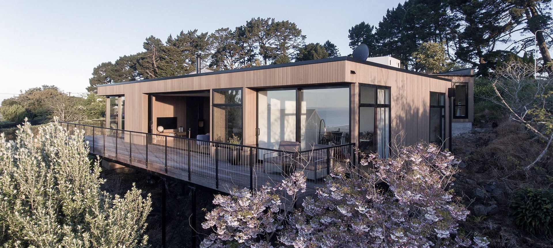 Jack Home: An Uncomplicated Timber-clad Pavilion banner