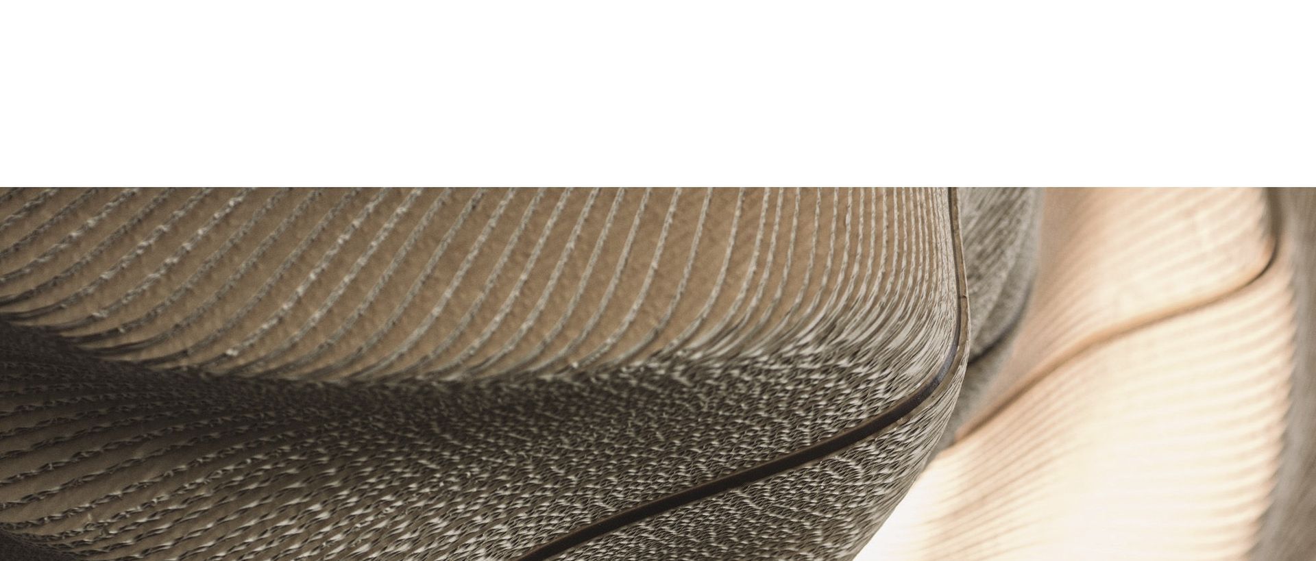 Hero Banner for Janusz Kaminski Design
