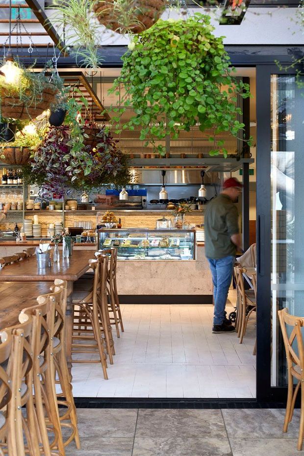 A warmly lit contemporary café interior viewed from the entrance, with a long timber communal dining table and numerous timber chairs in the foreground. The space features a tiled floor, a stone-faced service counter with glass pastry display, open shelving filled with dishes and bottles, pendant lighting, dark-framed glazing, and abundant hanging plants creating a lush indoor garden atmosphere.