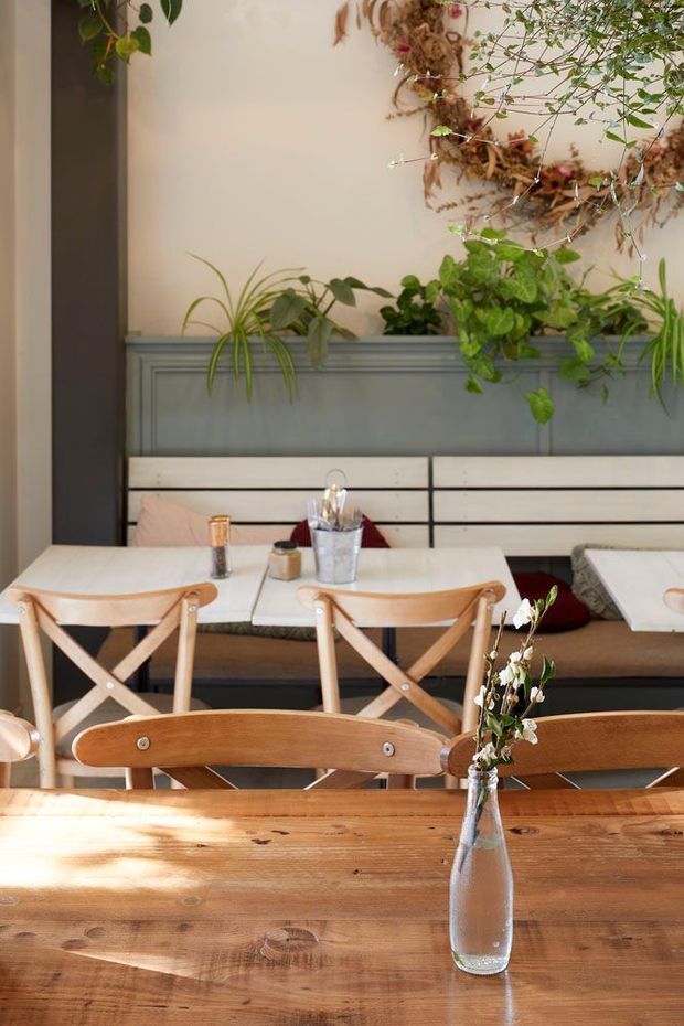 A warmly lit dining area with a long rustic timber dining table in the foreground, surrounded by light timber cross-back chairs. Behind it is built-in bench seating with pale upholstered cushions, a muted blue-grey raised-panel wall, and abundant trailing indoor plants. A large dried botanical wall arrangement adds a natural decorative feature.