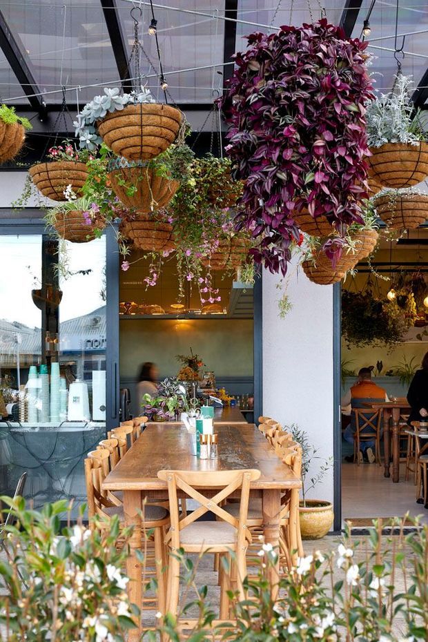 A bright, plant-filled café interior and frontage with a long timber communal dining table, matching timber cross-back chairs, hanging woven planters, abundant trailing greenery, and large glazed openings. The space has an inviting indoor-outdoor feel, with a service counter visible to the left and additional café seating in the background.