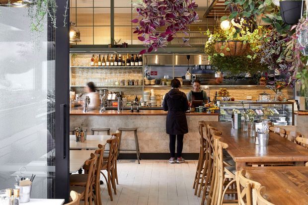 A warmly lit contemporary café interior viewed from the dining area toward a long service counter and open kitchen. The space features timber dining tables and chairs, pale tiled flooring, a stone or concrete-look counter front, dark metal-framed glazing, exposed shelving with bottles and glassware, pendant lighting, and abundant hanging plants.