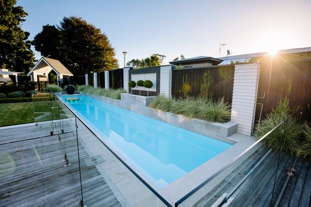 A landscaped residential backyard with a long, narrow swimming pool bordered by pale stone paving and timber decking. Frameless glass pool fencing separates the pool from the deck, while ornamental grasses, clipped shrubs, and sculpted planting sit against a modern boundary fence with white horizontal cladding and dark timber panels. A low modern house and garden structures are visible beyond, with warm late-afternoon sunlight creating a relaxed outdoor setting.