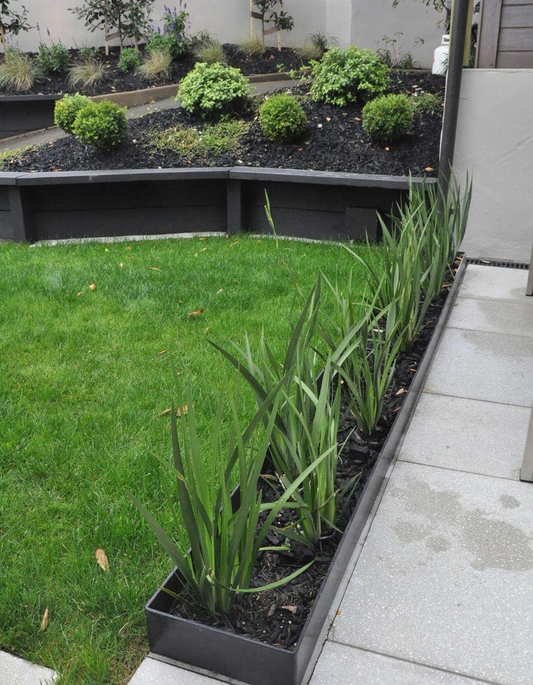 Custom made steel planter box marks a transition between the paved courtyard and the lawn