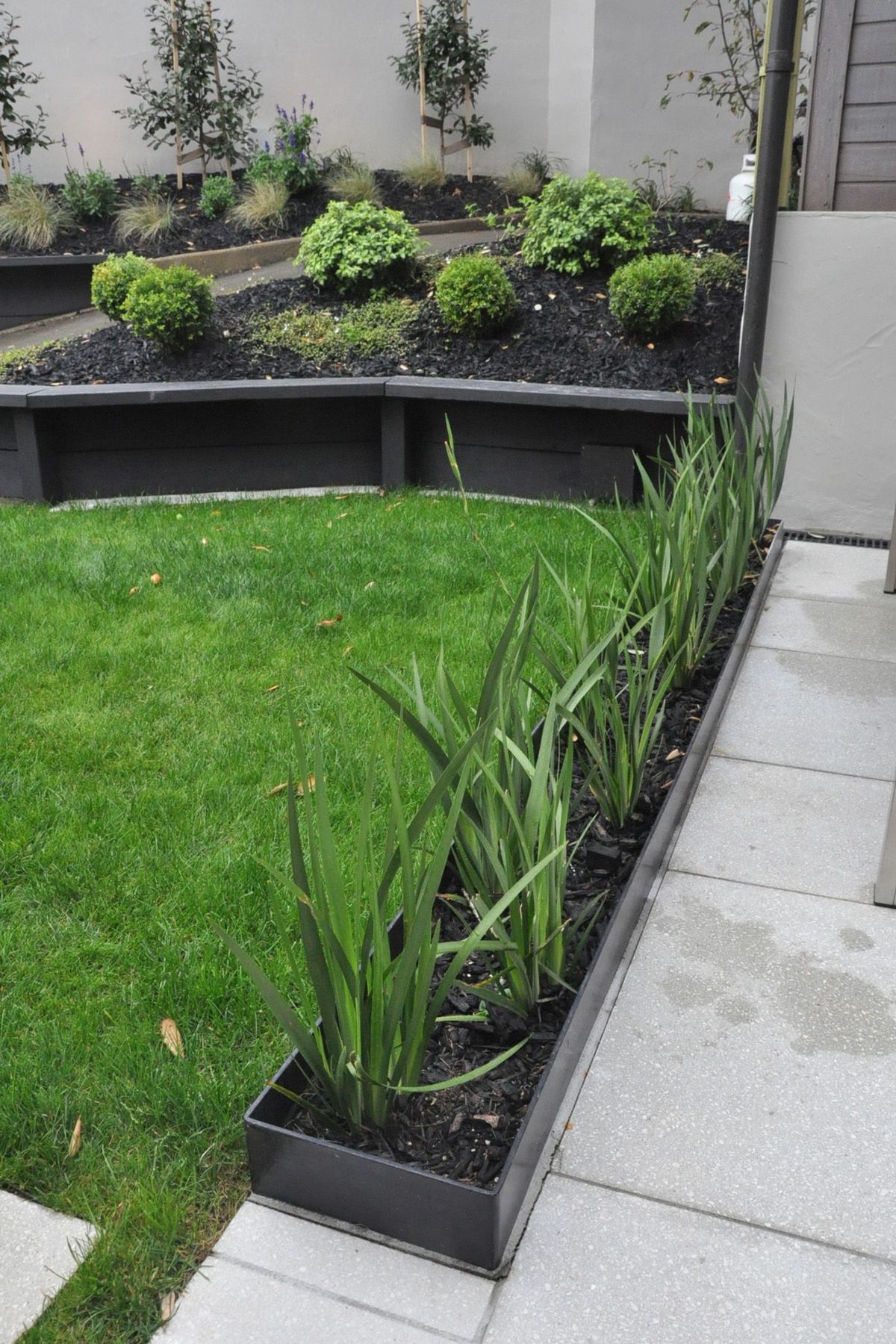 Custom made steel planter box marks a transition between the paved courtyard and the lawn