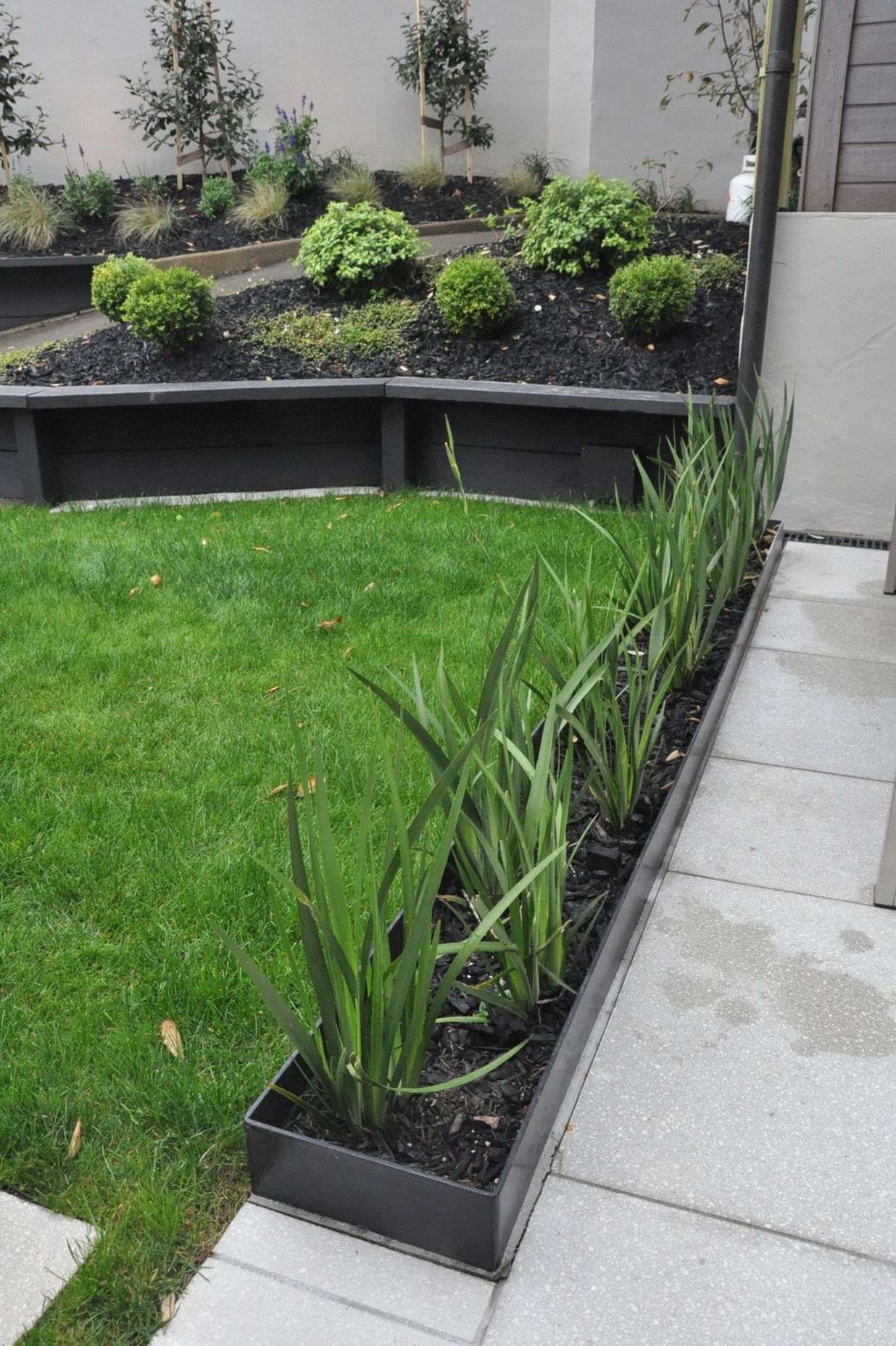 Custom made steel planter box marks a transition between the paved courtyard and the lawn